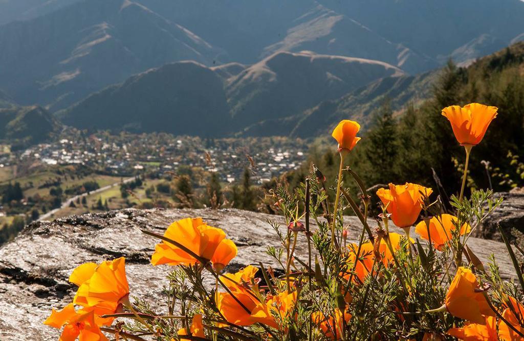 Creagh Cottage And Homestead Arrowtown Ruang foto